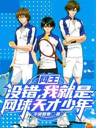 网王:没错,我就是网球天才少年