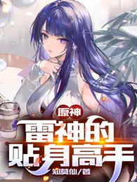 原神:雷神的贴身高手