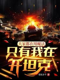 大家都在用魔法,只有我在开坦克