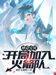 神奇宝贝:开局加入火箭队