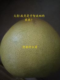 火影:我竟是宇智波斑的弟弟?