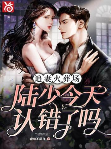 追妻火葬场:陆总今天认错了吗