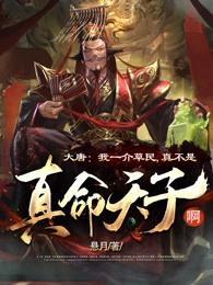 大唐:我一介草民,真不是真命天子啊!