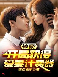 神豪:开局获得爱妻计费器