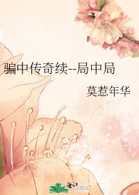 骗中传奇续--局中局