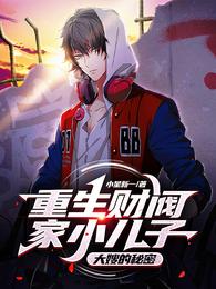重生财阀家小儿子:大嫂的秘密