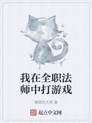 我在全职法师中打游戏