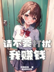 请不要打扰我赚钱!