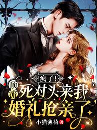 疯了!顶流死对头来我婚礼抢亲了许栀颜云烈