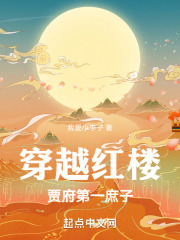 穿越红楼:贾府第一庶子