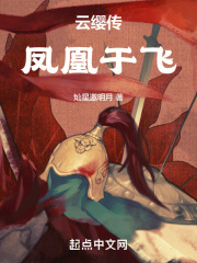 云缨传：凤凰于飞