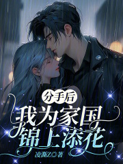 分手后,我为家国锦上添花