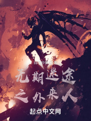 无期迷途之外来人