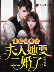 宋总别虐了,夫人她要二婚了