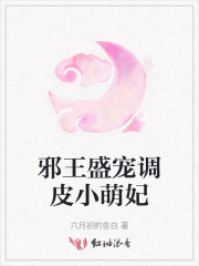 邪王盛宠调皮小萌妃