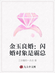 金玉良婚:闪婚对象是霸总