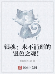 银魂:永不消逝的银色之魂!