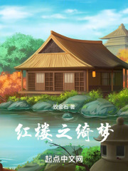 红楼之绮梦
