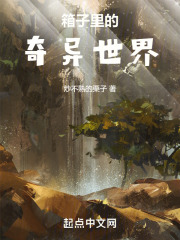 箱子里的魔兽大陆