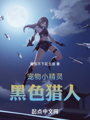 宠物小精灵之黑色猎人