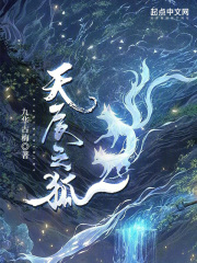 天辰之狐