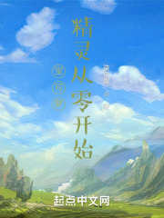 宝可梦,精灵从零开始