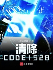 清除CODE1528