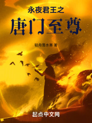 永夜君王之唐门至尊