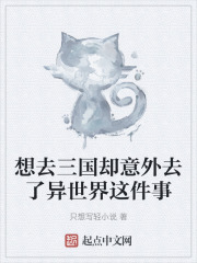 想去三国却意外去了异世界这件事
