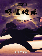 小贤不才略懂枪术