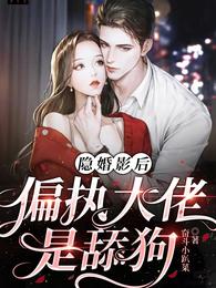 隐婚影后:偏执大佬是舔狗