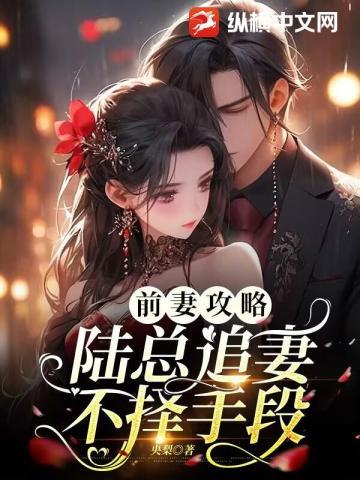 前妻攻略,陆总追妻不择手段