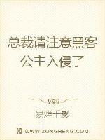 总裁请注意:黑客公主入侵了