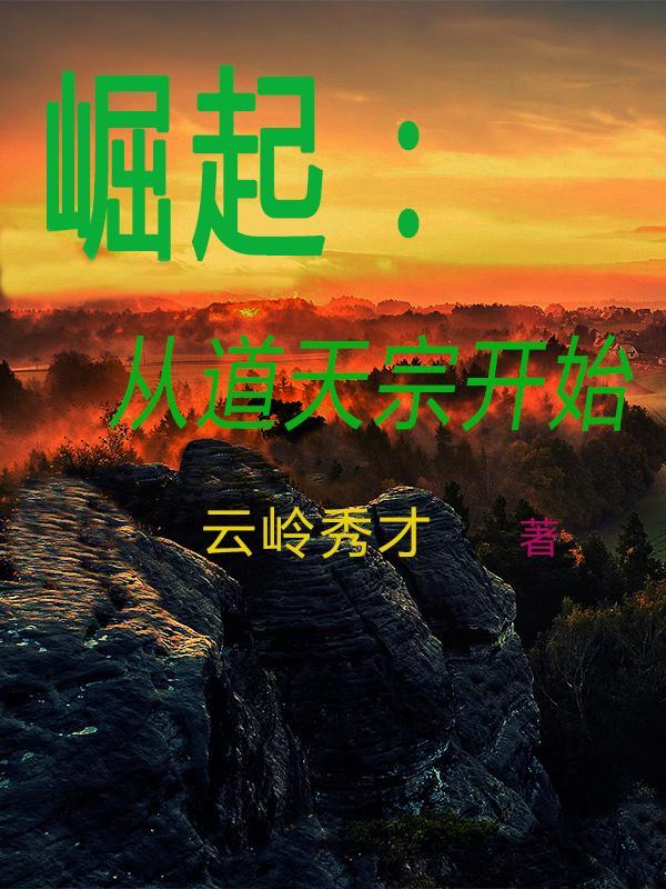 崛起:从道天宗开始