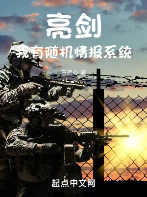 亮剑:我有随机情报系统