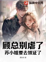 顾总别虐了,苏小姐要去领证了