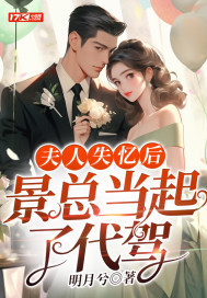 夫人失忆后,景总当起了代驾