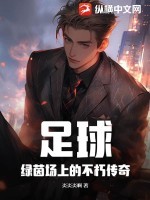 足球:绿茵场上的不朽传奇