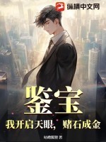 鉴宝:我开启天眼,赌石成金