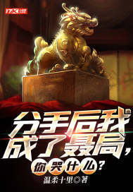 分手后我成了聂局,你哭什么?