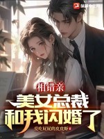 相错亲,美女总裁和我闪婚了