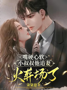 嘴硬心软,小叔叔他追妻火葬场了