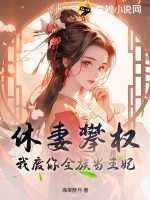 休妻攀权?我废你全族当王妃!