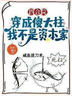 四合院:穿成傻大柱,我不是资本家