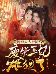 魔尊大人被渣后,废材王妃雄起了